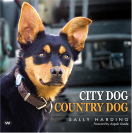 City Dog Country Dog book