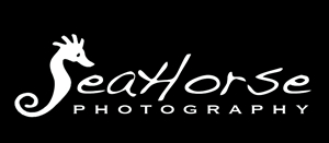 Seahorse Photography logo
